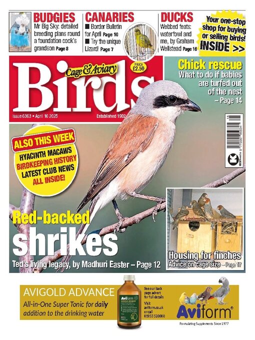 Title details for Cage & Aviary Birds by Kelsey Publishing Ltd - Available